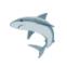 emoji de requin