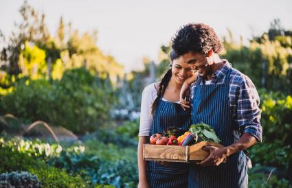 couple portant une caisse de légumes 
