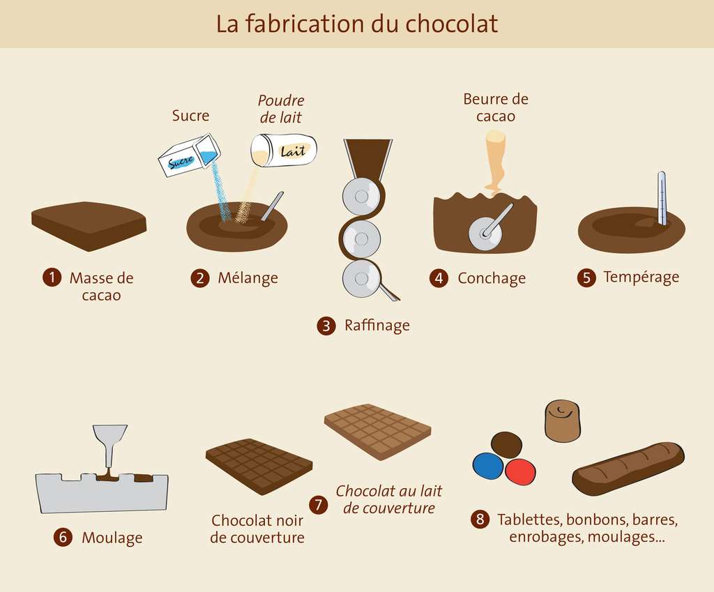 Технология шоколада. Схема производства шоколада. Изготовление шоколада. Процесс изготовления шоколада. Этапы приготовления шоколада.