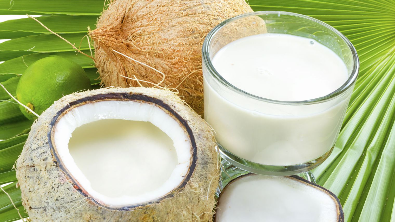 Планто кокосовое молоко. Коконат Милк. Молоко кокосовое Коконат. Кокосовое молоко Coconut Green Milk. Чича и кокосовое молоко.